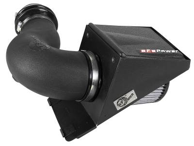 aFe Power - aFe 54-13025D MagnumFORCE Stage-2 Black Pro Dry-S Air Intake Ford/Lincoln 3.5