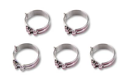 Earl's Performance - Earl's Performance 818406ERL Super Stock AN Hose Clamp