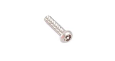 Rhino-Rack USA - Rhino-Rack B137-BP Mounting M6 x 25MM ST/ST SECURITY SCREW BP 6