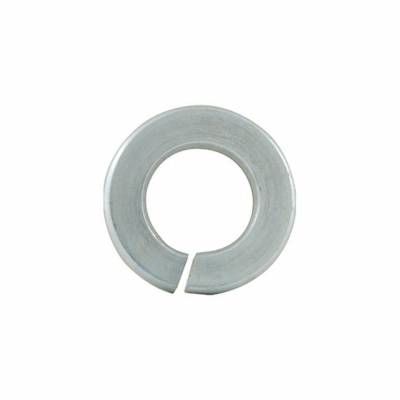 Allstar Performance - Allstar ALL16121-25 Lock Washer 5/16"
