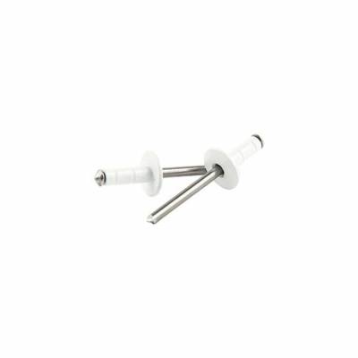 Allstar Performance - Allstar Performance ALL18092 3/16" Multi-Grip Rivet Medium Head White