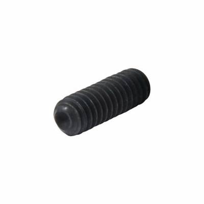 Allstar Performance - Allstar Performance ALL16907 Set Screws 1/4-20x3/4"