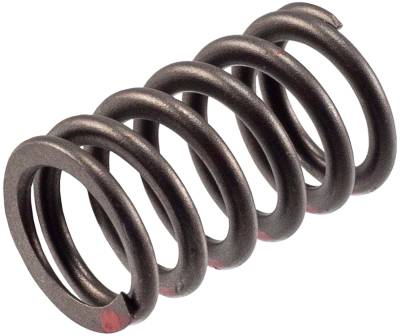 Melling - Melling VS-2483 Stock Replacement Valve Spring