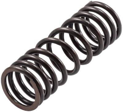 Melling - Melling VS-2491 Stock Replacement Valve Spring
