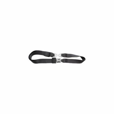 Allstar Performance - Allstar Performance ALL98112 Seat Belt 2-Point Charcoal
