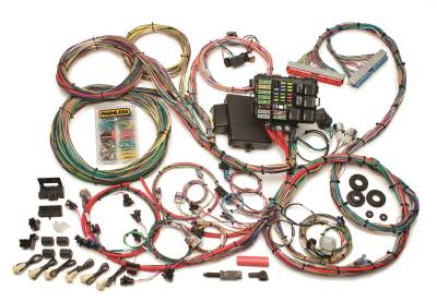 Painless Wiring - Painless Wiring 60608 GM LS1 Integrated EFI/Chassis Wiring Harness