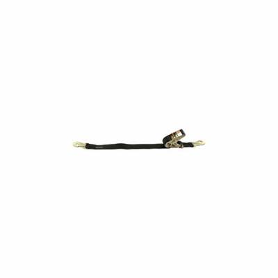 Allstar Performance - Allstar Performance ALL10184 Ratcheting Tie Down Strap Flat Hook 2" x 8'