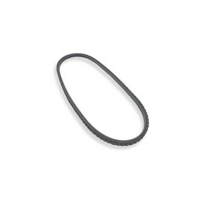 Allstar Performance - Allstar Performance ALL86120 V Belt 31.5"