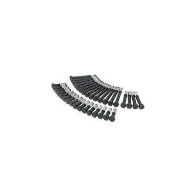 Allstar Performance - Allstar Performance ALL87000 Head Bolt Kit SB Chevy