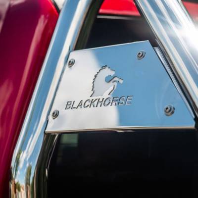 Black Horse Off Road - Black Horse RB001SS SS Classic Roll Bar for Titan/F150/Tundra/Ram/Silverado