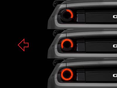 Raxiom - Raxiom 393827 Halo LED Taillights