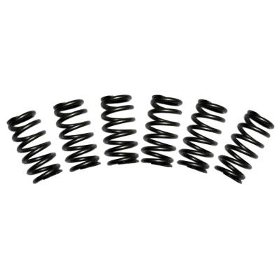 BD Diesel - BD Diesel 1030060 Valve Spring Kit for 88-98 Dodge 2500/3500 Cummins 5.9L