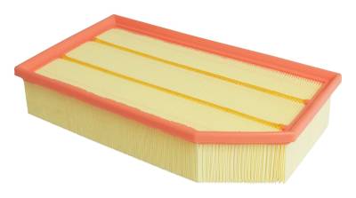 Crown Automotive Jeep Replacement - Crown Automotive 68257030AA Air Filter for 18-20 Gladiator/Wrangler JL