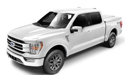 Bushwacker - Bushwacker OE-Style Front/Rear Fender Flares-Painted Ford F150 20948-12