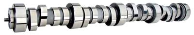 Howards Cams - Howards Cams 180525-10 Hydraulic Roller Camshaft