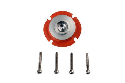Aeromotive Fuel System - Aeromotive 13008 Regulator Repair Kit