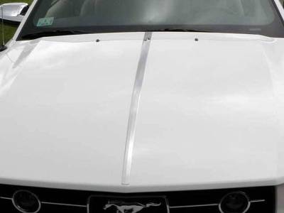 Quality Automotive Accessories - Quality Automotive HT45351 Hood Vent Trim 05-09 Ford Mustang
