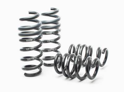 H&R Special Springs LP - H&R 29058-1 Sport Spring for Audi R8