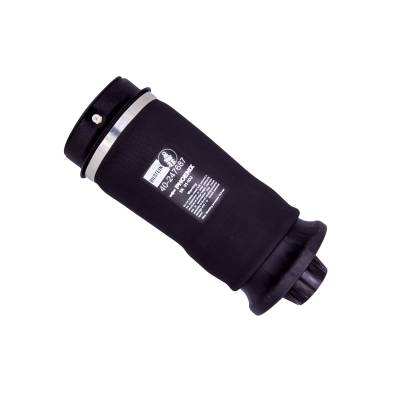 Bilstein - Bilstein 40-247687 B3 OE Replacement Air Suspension Spring