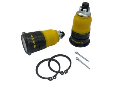 Whiteline - Whiteline KCA519 Front Roll Center Correction Kit for 05-06 Acura RSX