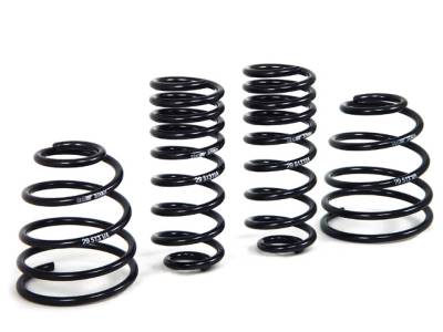 H&R Special Springs LP - H&R 29513 Sport Spring Kit