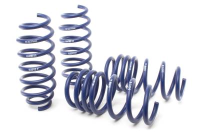 H&R Special Springs LP - H&R 54510 Sport Lowering Spring Kit for 17-19 Tesla Model 3 Long Range RWD