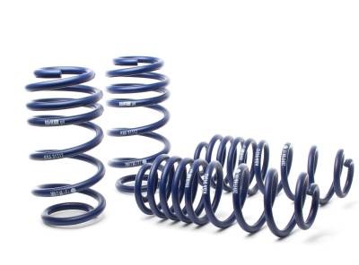 H&R Special Springs LP - H&R 28917-4 F40 R50mm Lowering Springs for Audi A6 4G C7 Quattro Saloon