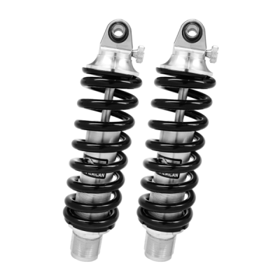 Aldan American - Aldan American PWSBR2 Rear Coilover Kit Pair 97-02 Plymouth Prowler