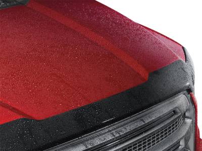 Weathertech - WeatherTech 55217 Low Profile Aerodynamic Hood Protector