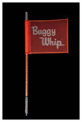 Buggy Whip - Buggy Whip 4' LED Offroad Whip Light Red Quick Release BWLED4RQ