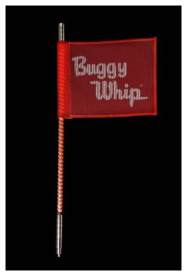 Buggy Whip - Buggy Whip 2' LED Offroad Whip Light Red Quick Release BWLED2RQ