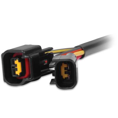 MSD - MSD Ignition 88813 Dual DIS-4 Modular Harness for Ford 4.6L