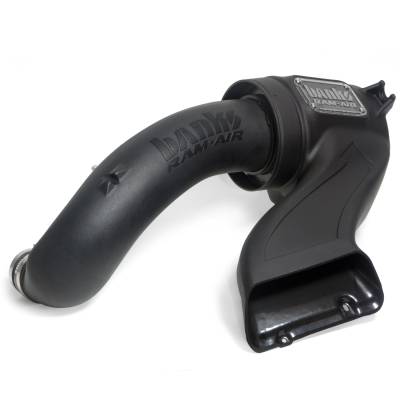 Banks Power - Banks Power 41888-D Ram-Air Intake Dry Filter for 15-17 Ford F150 5.0