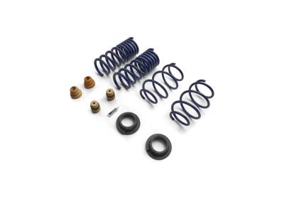 Ford Performance Parts - Ford Performance M-5300-S65S Lowering Spring Kit for 15-24 Ford Mustang