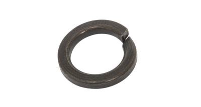 Rhino-Rack USA - Rhino-Rack W019-BLK-BP Mounting M8 SPRING WASHER S/S BLACK BP 4