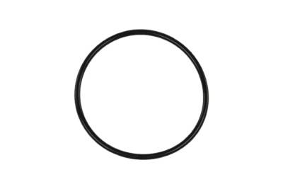 Turbosmart - Turbosmart TS-0204-3005 Race Port Flange O-Ring