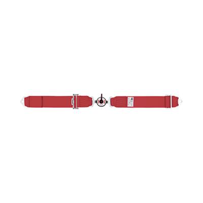 Simpson Safety - Simpson Safety 32002P 62" Cam Lock 2-Point Seat Belt Platinum