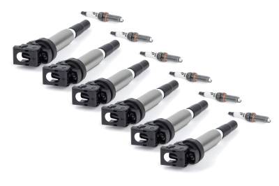 Dinan - Dinan D655-0010 Performance Ignition Coil