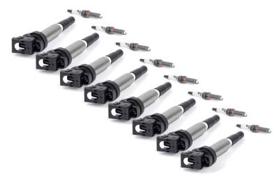 Dinan - Dinan D655-0013 Performance Ignition Coil
