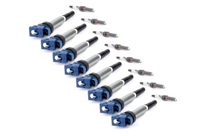 Dinan - Dinan D655-0015 Performance Ignition Coil