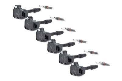 Dinan - Dinan D655-0004 Ignition Coil for BMW & MINI Vehicles