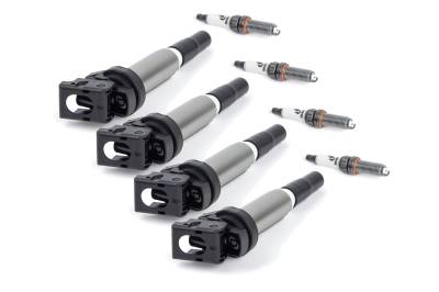 Dinan - Dinan D655-0007 Performance Ignition Coil