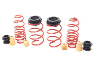 H&R Special Springs LP - H&R 23017-1 VTF Adjustable Lowering Springs