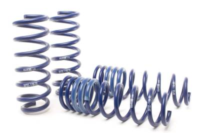 H&R Special Springs LP - H&R 28722-1 Lowering Springs for 19-21 Aston Martin DB11 Coupe 2WD AM5