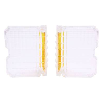 Trim Parts - Trim Parts A4310 1972 Chevelle Clear Parking Light Lens PAIR