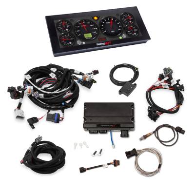 Holley EFI - Holley EFI 550-909-2 Fuel Injection System