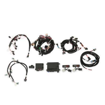 Holley EFI - Holley EFI 550-619N Fuel Injection Conversion Kit for 1900 Ford Coyote 302/315