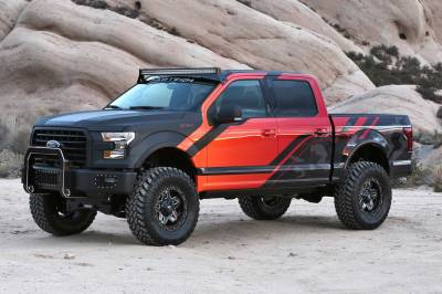 Fabtech - Fabtech FTS22186 Dirt Logic 2.5 Resi Coil Over Shock Absorber for 15-16 F150