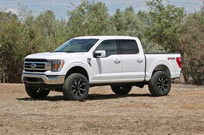 Fabtech - Fabtech FTS22355 Dirt Logic 2.5 Resi Coil Over Shock Absorber for 21 F150