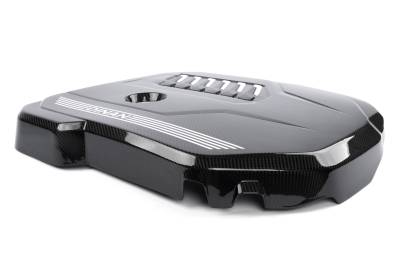 Dinan - Dinan D590-0003 Engine Appearance Cover for BMW